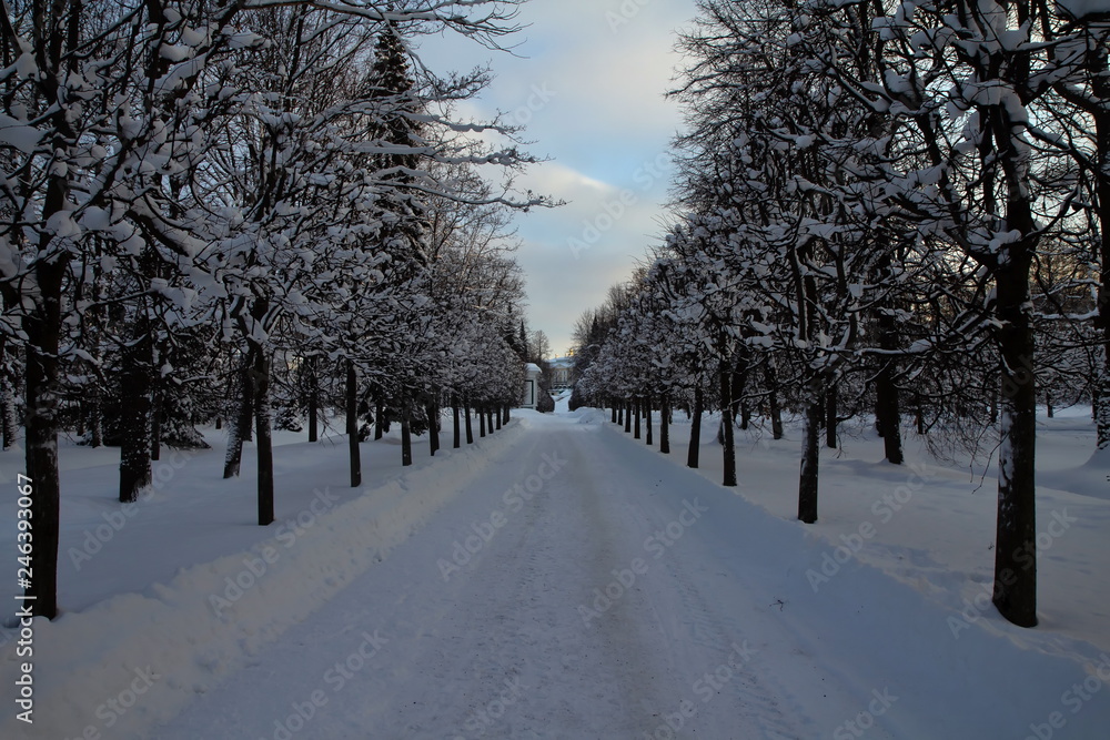 Peterhof, fountains and park in winter