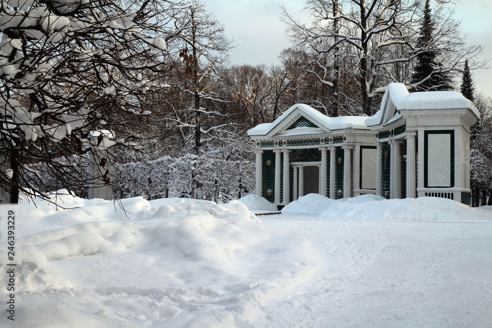 Naklejka premium Peterhof, fountains and park in winter