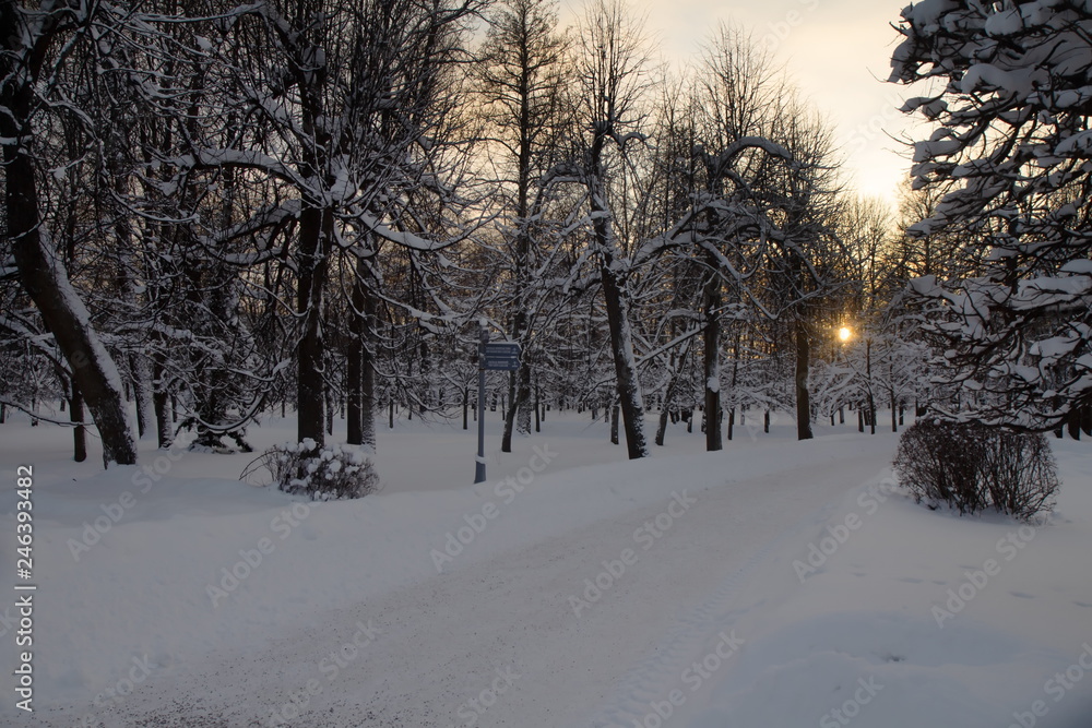 Peterhof, fountains and park in winter Peterhof, fountains and park in winter