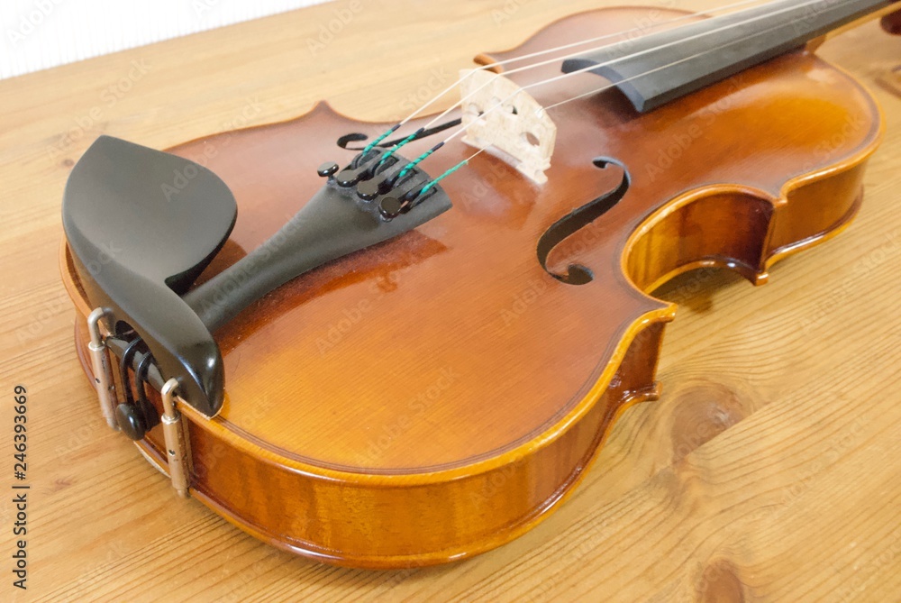 Obraz premium Classical Violin Solo Performance by Child