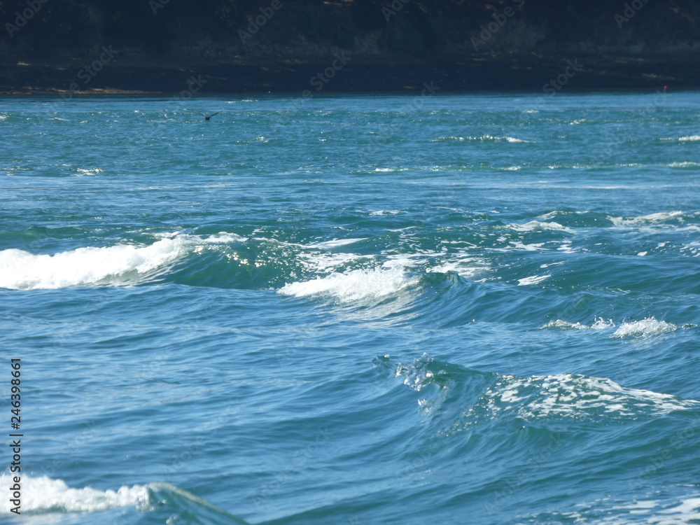 Fototapeta premium Vagues