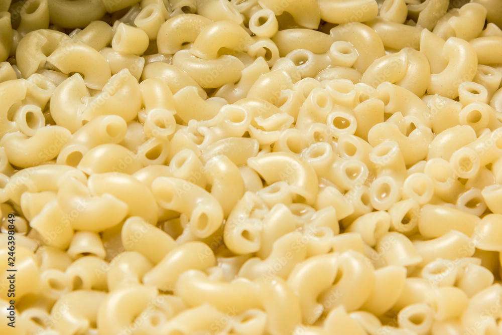 Cooked pasta for the whole frame Cooked pasta for the whole frame