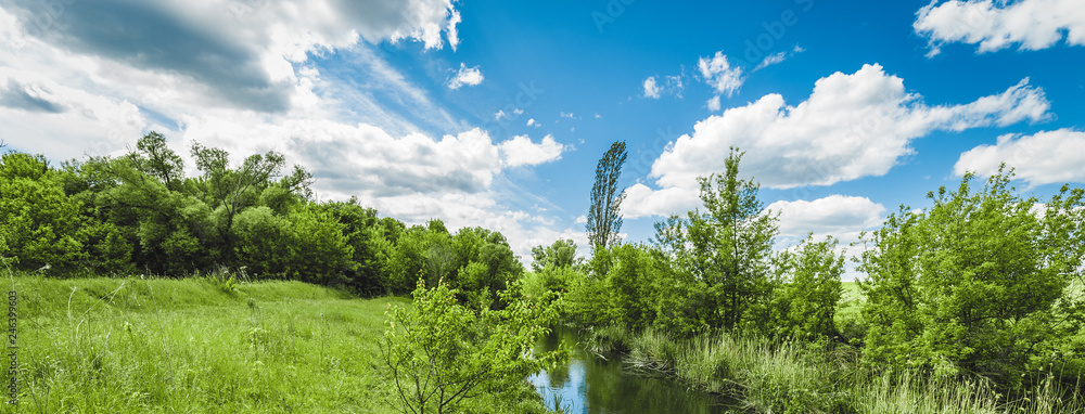 Obraz premium Blue cloudy sky and silent river with reeds and trees along the shore. Beautiful summer landscape, panoramic banner