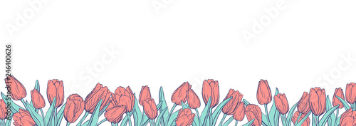 Flat horizontal banner template with two colored tulips on white background