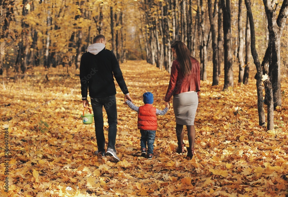 Family walking with son through autumn forest. Back view