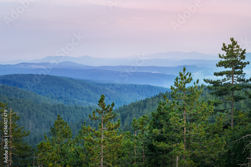 Beautiful view over the blu mountain range in Tara National Park in Serbia.