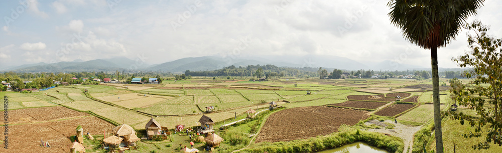 Rural crops panorama
