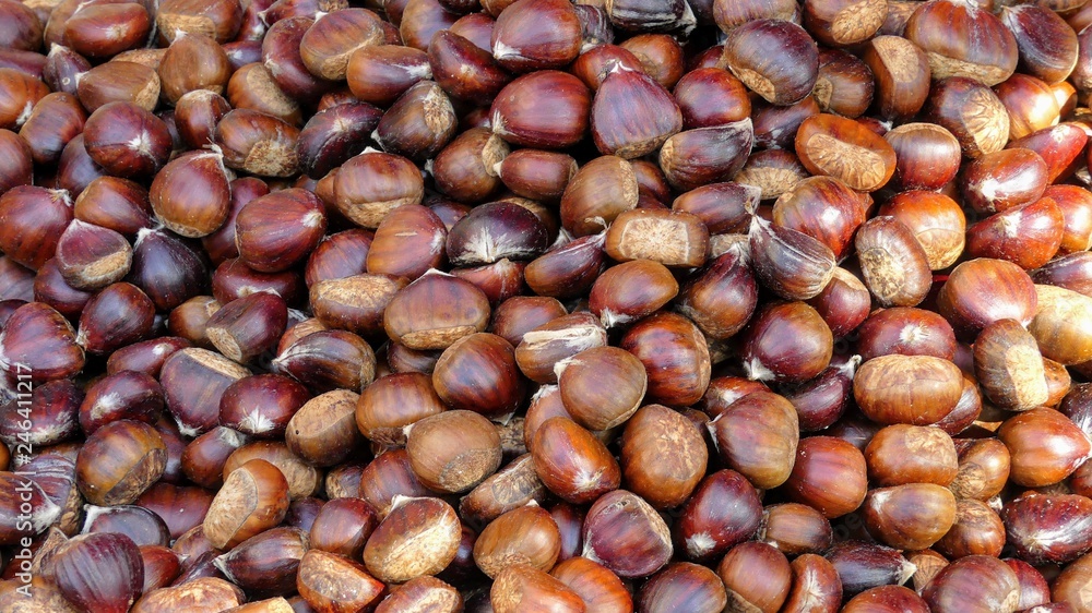 Chestnuts, Autumn and winter food ready for roasting over a fire Chestnuts, Autumn and winter food ready for roasting over a fire