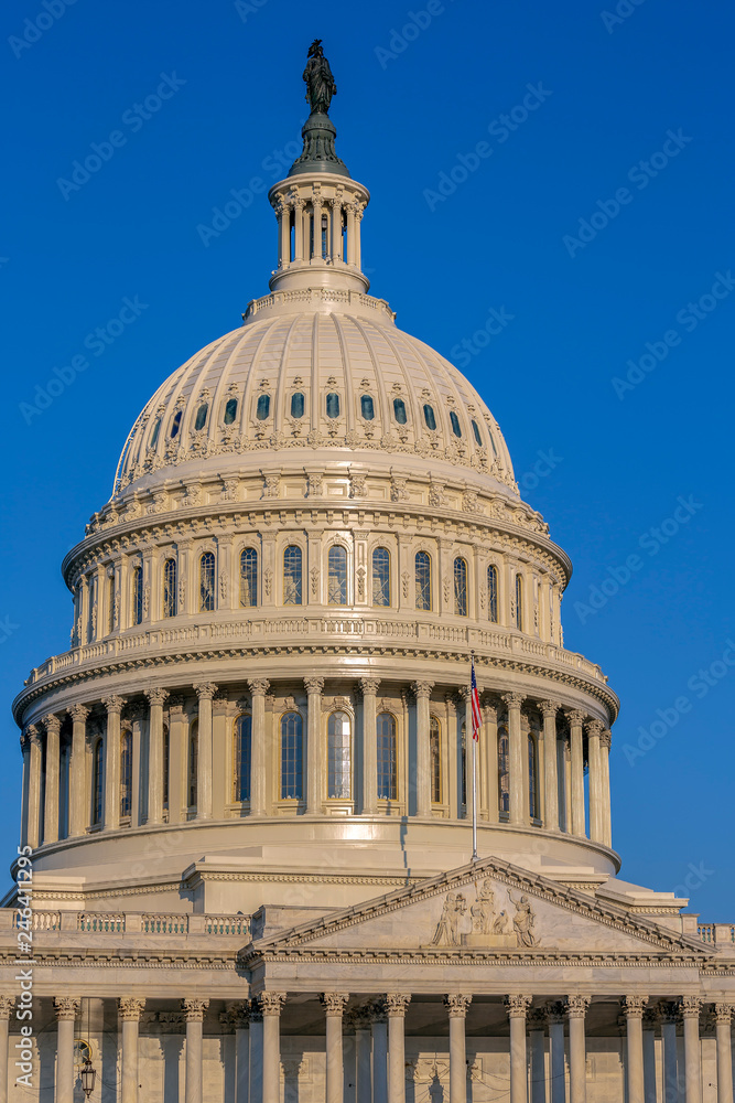 Detail of the US Capitol building in Washington D.C.