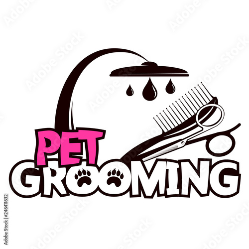 Scissors and a comb for pet grooming and washing