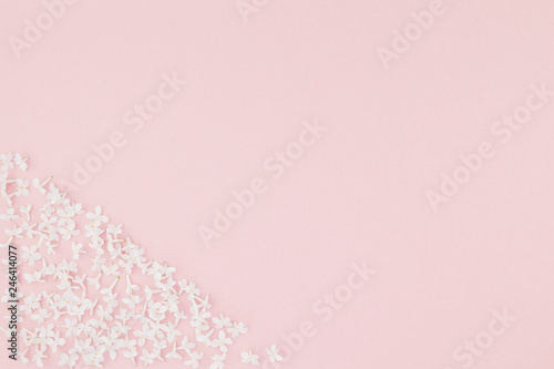 Pink background with white lilac flowers © dvoevnore