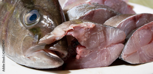 Obraz na płótnie Mediterranean amberjack fish