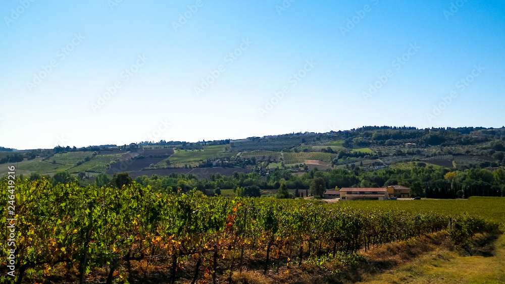 Landscape of the Tuscan vineyards, Chianti region, Italy