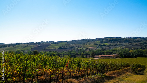 Landscape of the Tuscan vineyards  Chianti region  Italy