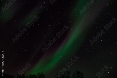 Fototapeta Naklejka Na Ścianę i Meble -  Amazing Aurora Borealis in North Norway (Ringvassoy), mountains and sea in the background