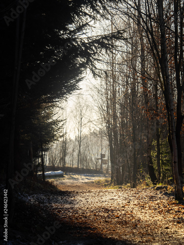 Landscape picture from the national park in Bavaria