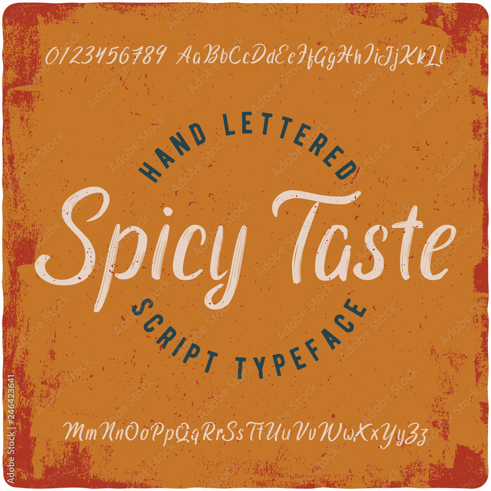 Fototapeta Handwritten brush script typeface named Spicy Taste. Hand crafted font. Alphabet for lettering logo.