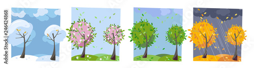 Four seasons landscape. Summer, fall, spring and winter trees. Different times of year. Set of four non-parallel pictures with view of nature. Flat cartoon vector illustration. Trees with round crown