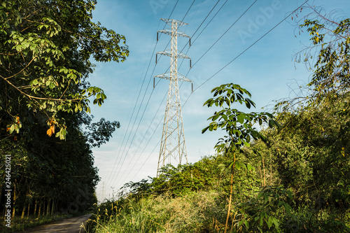 High voltage electricity pylon for electric supply transmission with green nature trees background, Power distribution technology and generator infracstructure equipment