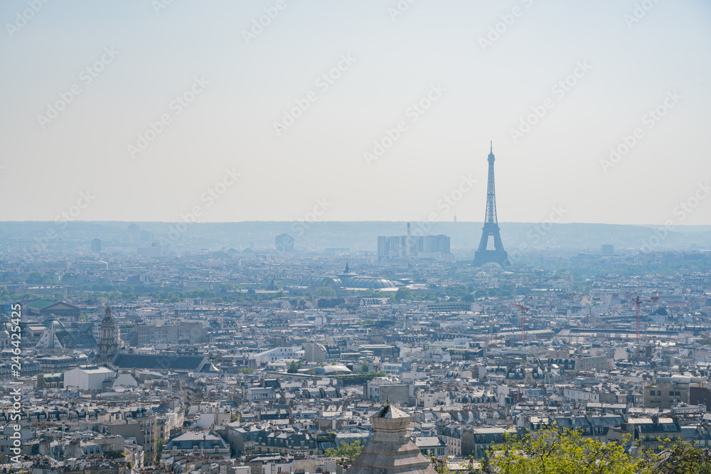 Afternoon aerial view of the famous Eiffel Tower and downtown citypscape