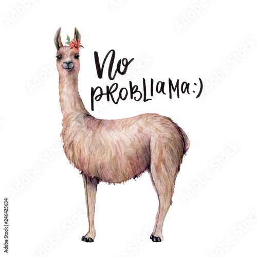 Watercolor No probllama card with llama. Hand painted beautiful illustration with animal, flower and lettering isolated on white background. For design, print, fabric or background. photo