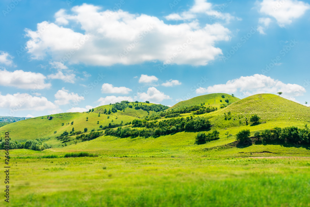 Naklejka premium zielone wzgórze w letni krajobraz. piękne krajobrazy wiejskie. puszyste chmury na jasnym niebieskim niebie. zastosowano efekt przesunięcia pochylenia i rozmycia w ruchu.