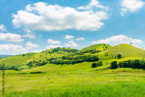 Papier peint green hill in summer landscape