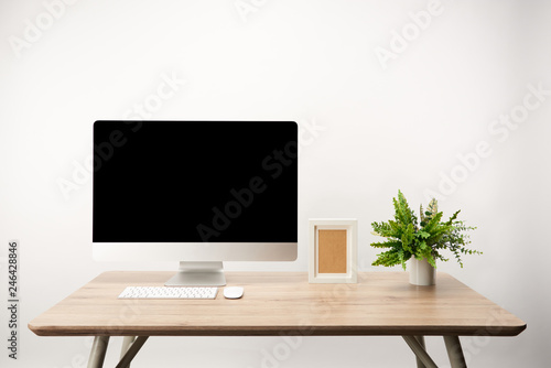 workplace with green plant, photo frame and desktop computer with copy space isolated on white