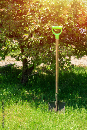 shovel in green grass opposite a green tree. Summer day with the rays of the sun. Copy space © art_rich