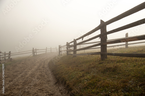 Fototapeta Naklejka Na Ścianę i Meble -  Dirt road in the fog in autumn