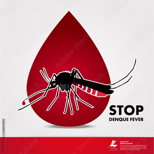 Stop denque fever and stop mosquito vector illustration. photo