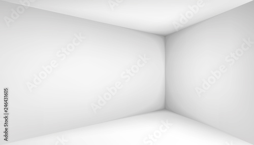 Fototapeta Naklejka Na Ścianę i Meble -  Empty white room. The inner space of the box. Corner of light box with soft shadows. Vector design illustration. Mock up for you business project