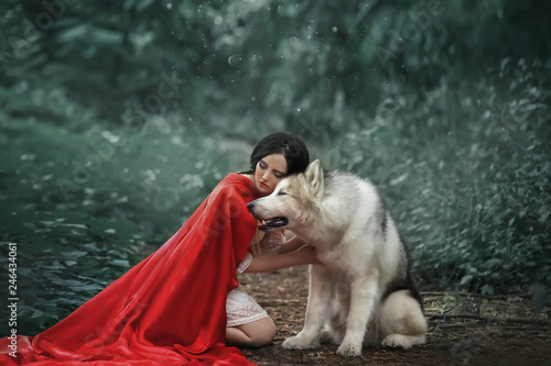 fabulous image, dark-haired brunette attractive lady in short white dress, long red scarlet cloak lying on ground sits beside Alaskan Malamute like wolf, gently touches it with his hands, head photo