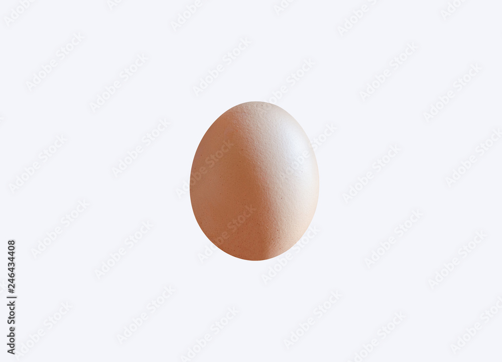 one chicken egg standing isolate on white background with clipping path. one chicken egg standing isolate on white background with clipping path.