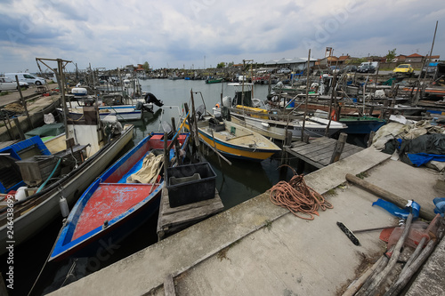 Wallpaper Mural Goro Torontodigital.ca