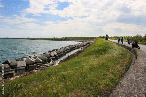 Wallpaper Mural Goro Torontodigital.ca