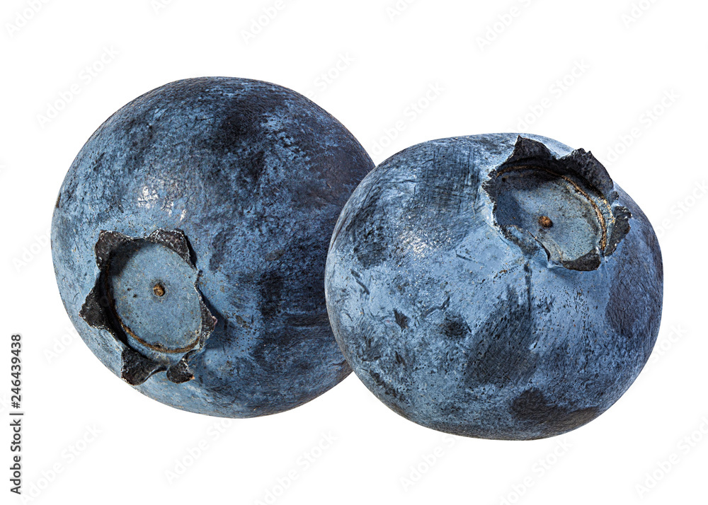 Obraz premium Fresh blueberry isolated on white background with clipping path