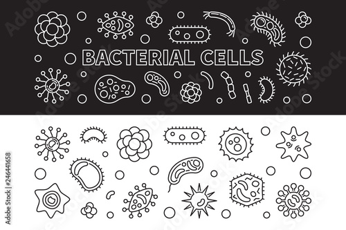Bacterial cells 2 banners. Vector concept illustration in thin line style