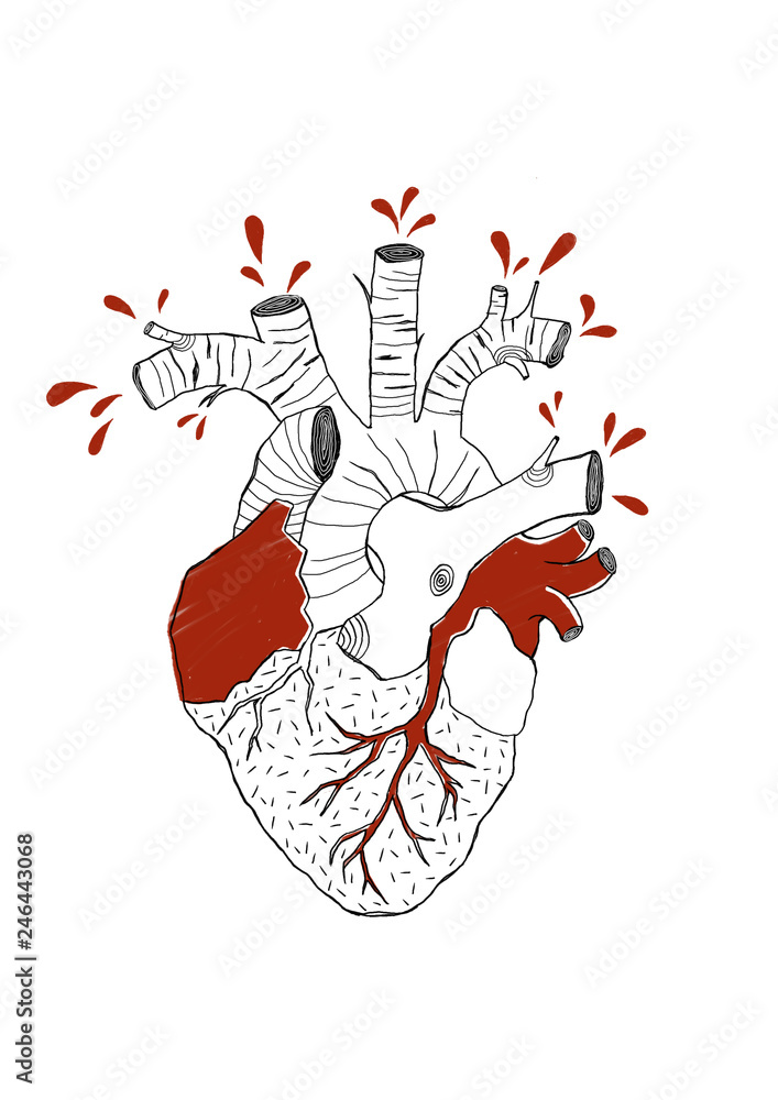 Heart and Roots Heart and Roots