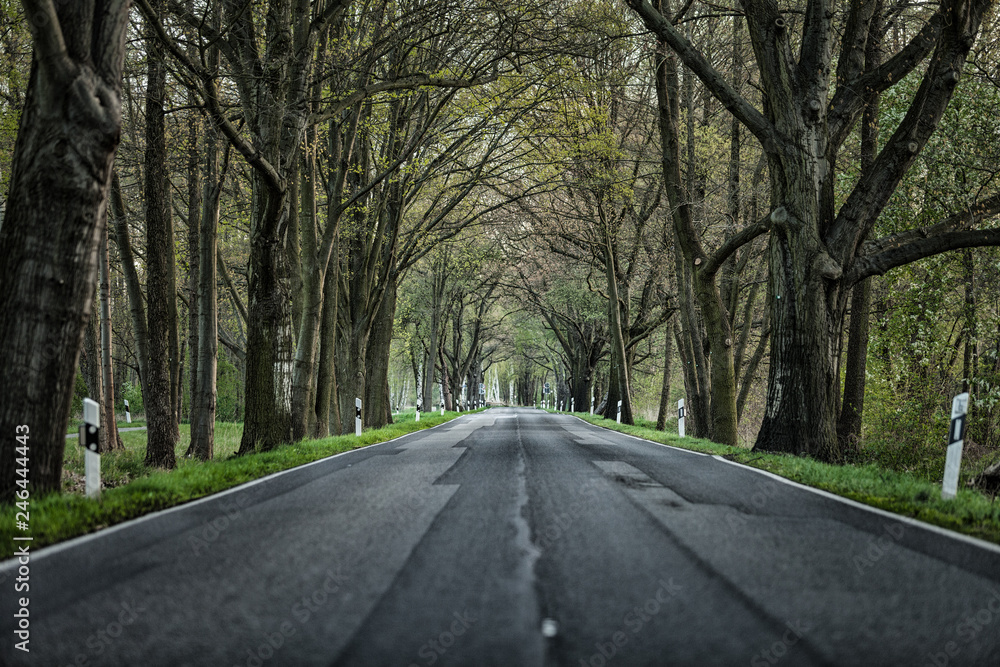 Fototapeta premium empty road