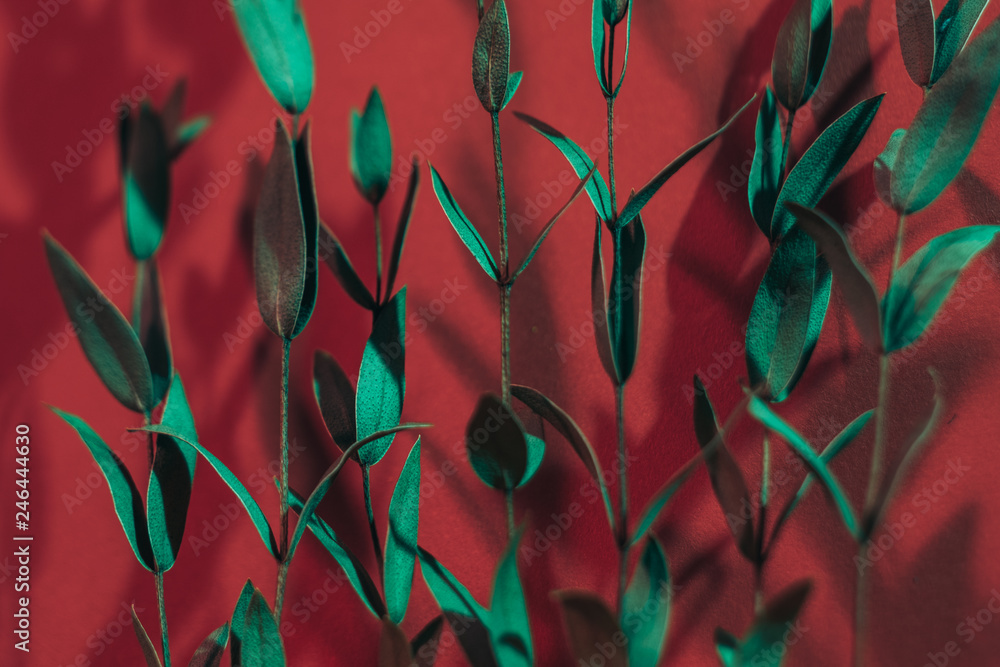 Obraz na plátně Eco decor concept