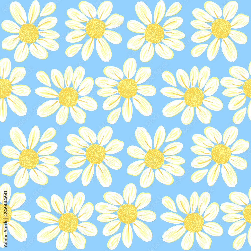 Daisy flower background pattern floral vector Daisy flower background pattern floral vector