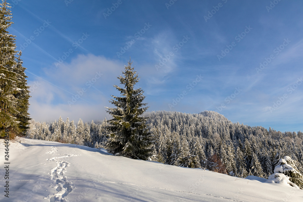 Mountain road covered in snow with footprints