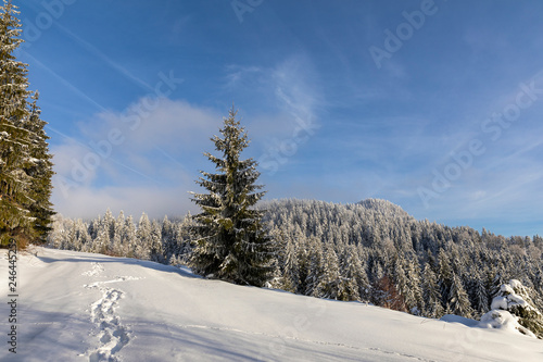 Wallpaper Mural Mountain road covered in snow with footprints Torontodigital.ca
