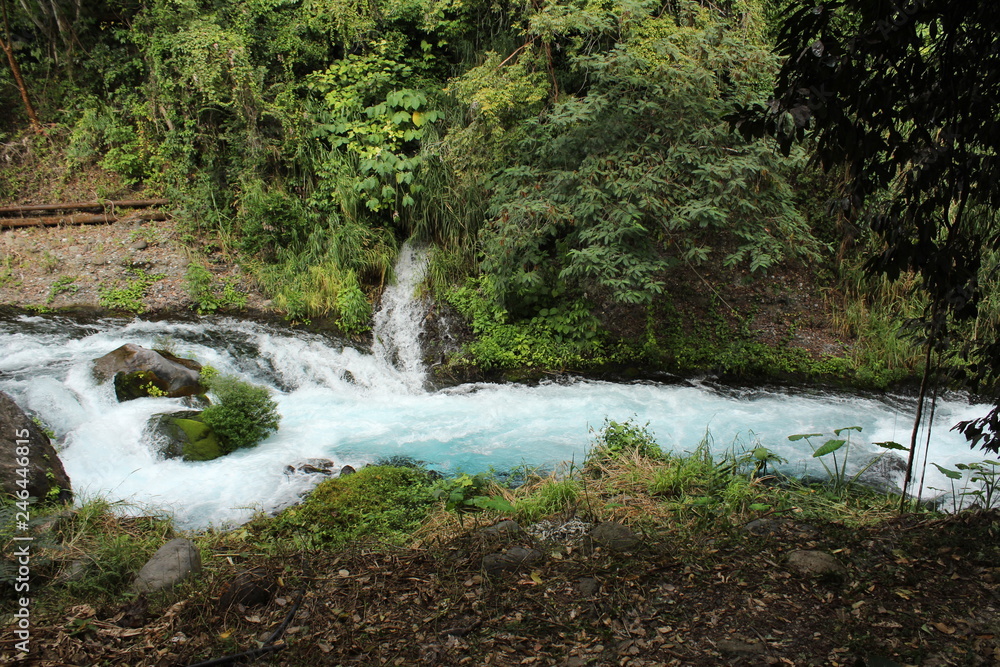Obraz premium waterfall in forest