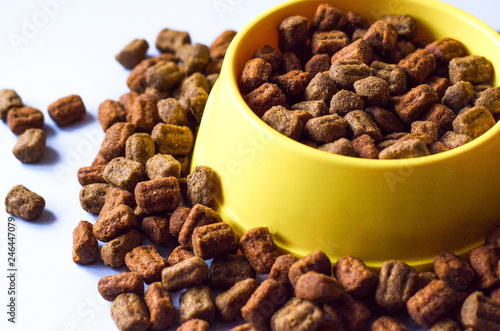 Pet food in a yellow mask and around it.