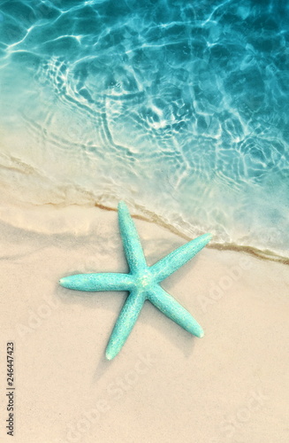 Starfish on the sand beach and sea as background. Summer beach.