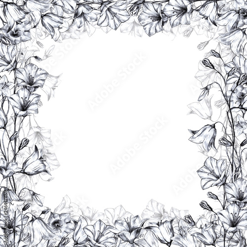 Hand drawn floral square frame with gray graphic bluebell flowers on white background and transparent floral layer