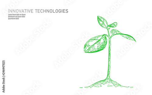 Vászonkép Plant sprout ecological abstract concept