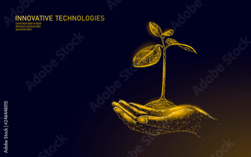 Low poly hands holding golden tree sprout. Wealth prosperity saving money growing income profit. Grow economy business concept polygonal triangle 3D symbol vector illustration